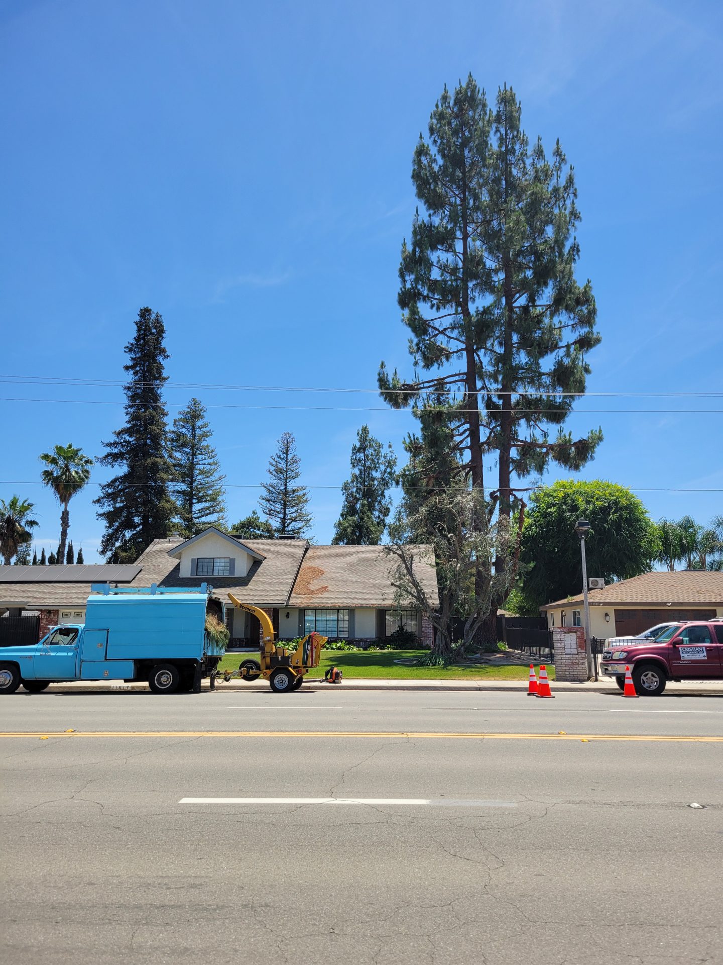 Job site setup — tree service near Lamont, CA