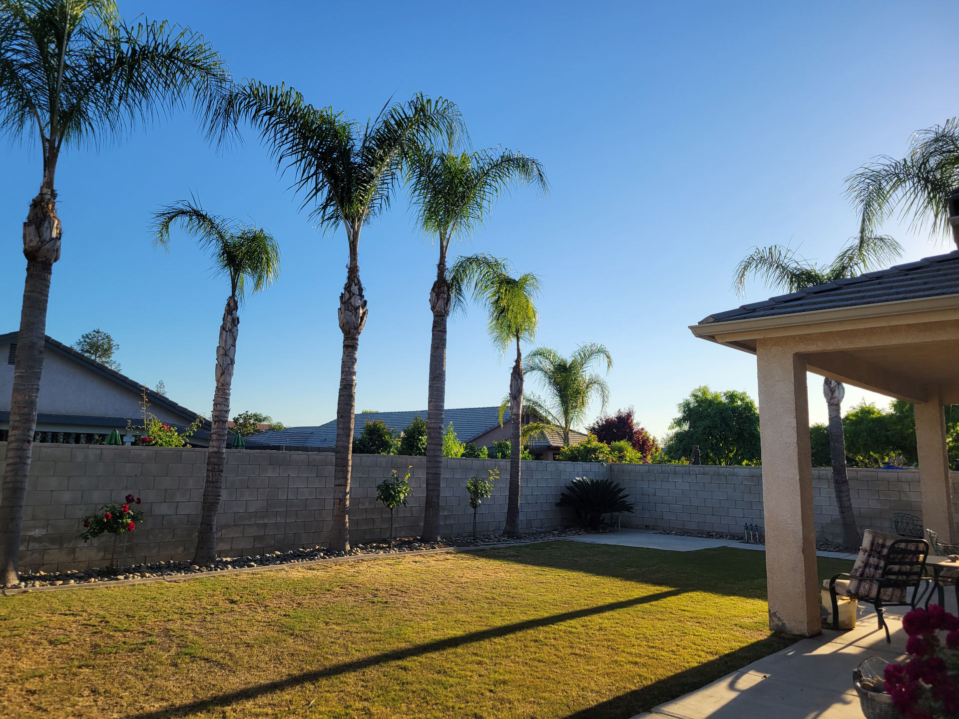 Residential backyard